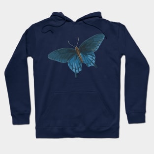 Butterfly of hope Hoodie